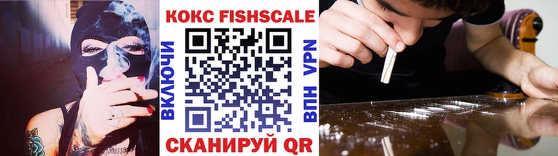 Купить где  Шахты  Cocaine Fish Scale 