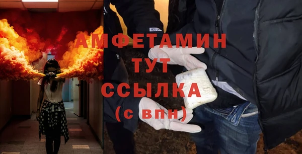 твердый Пересвет
