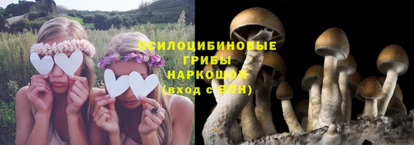 прущие крисы Пестово
