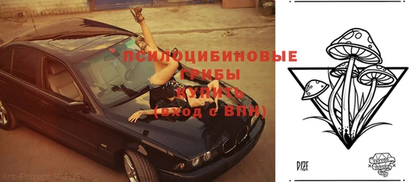 твердый Пересвет