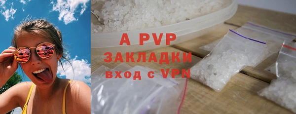 твердый Пересвет