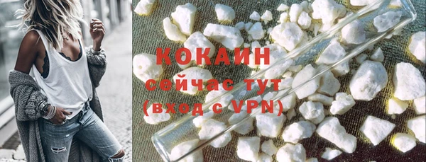 твердый Пересвет