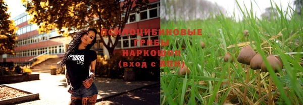 круглые Переславль-Залесский