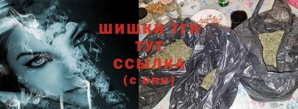 твердый Пересвет