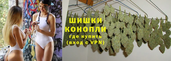 твердый Пересвет