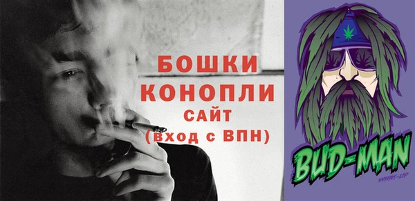 твердый Пересвет
