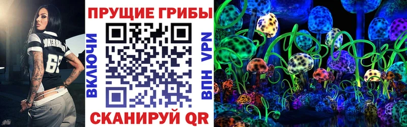 Галлюциногенные грибы ЛСД  Купить закладки  Шахты 